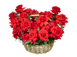Французская роза